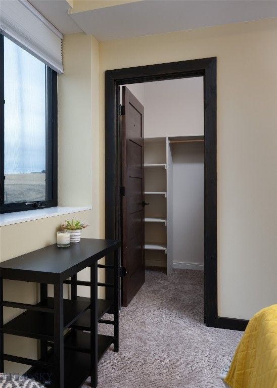 103 Moon Shadow Drive, Bozeman, MT 59715 photo 30