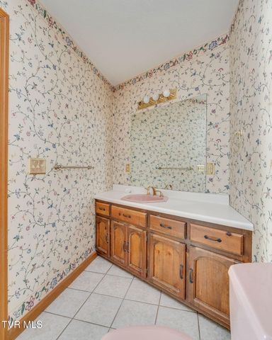 690 Stevens Street, Rogersville, TN 37857