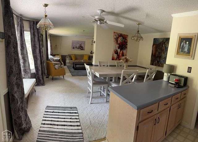 4 Skeinah, Cherokee Village, AR 72529