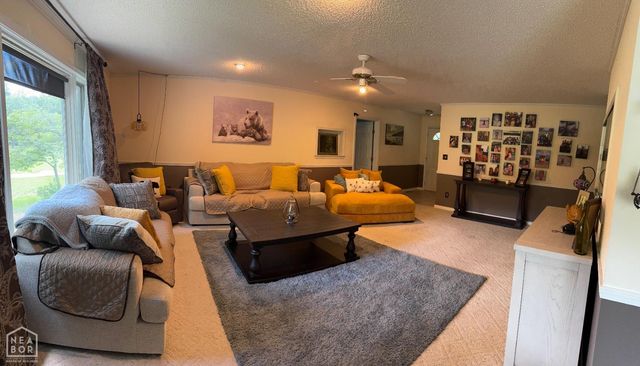 4 Skeinah, Cherokee Village, AR 72529