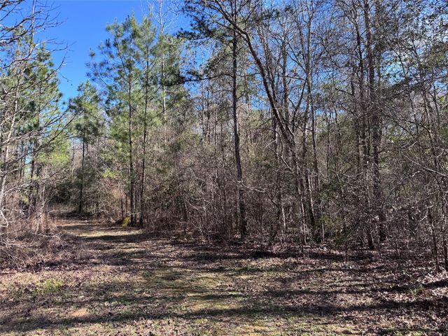 TBD Cr 2669,2670, Cleveland, TX 77327