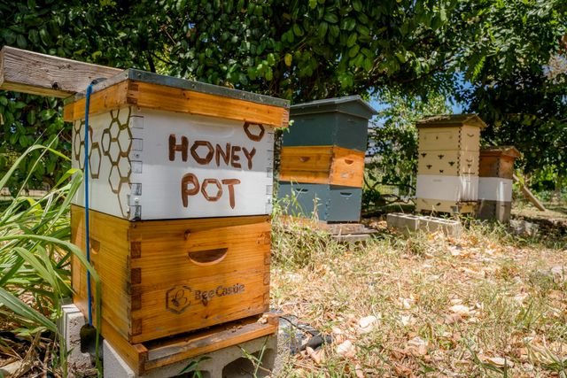 1865 Kalia Way, Haiku, HI 96708