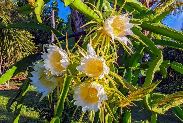 1865 Kalia Way, Haiku, HI 96708