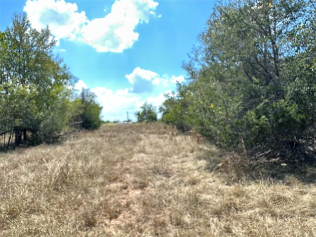 1387 Lovers LN, Bastrop, TX 78602