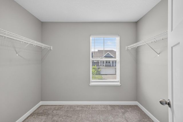 8746 Parkington Avenue NE, Otsego, MN 55330