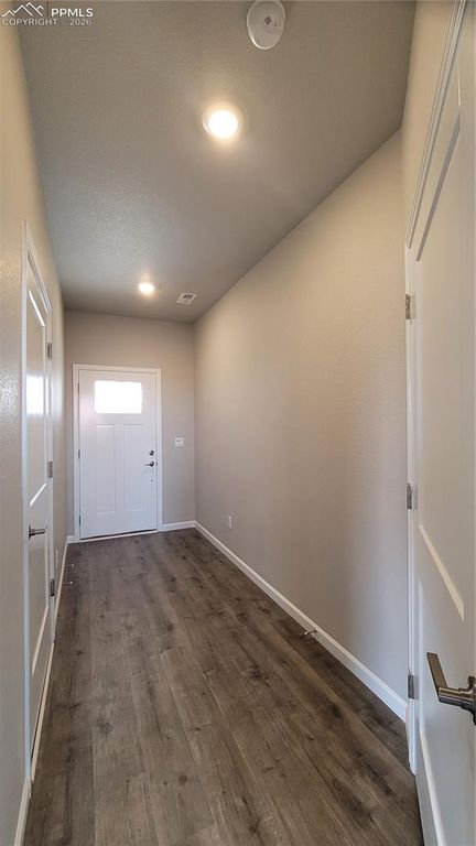 711 Belleza View, Colorado Springs, CO 80907 — photo 3