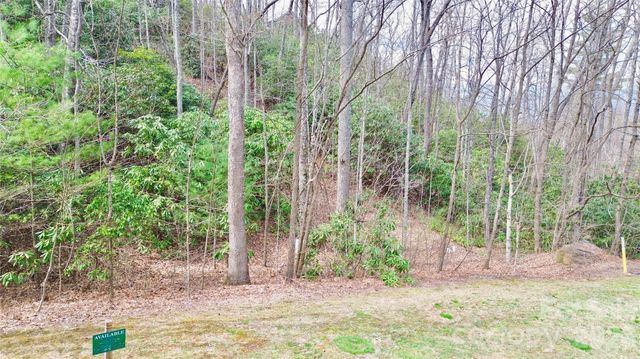 21 Settings Boulevard 40, Black Mountain, NC 28711