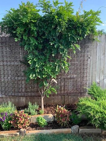 512 Dayflower Lane, Norman, OK 73069