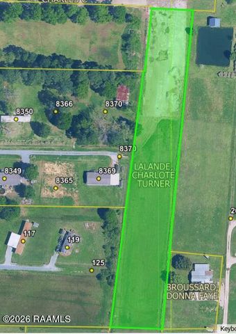 Tbd Hudson Road, Maurice, LA 70555