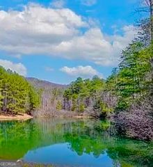 0 Golden Delicious Road, Clarkesville, GA 30523