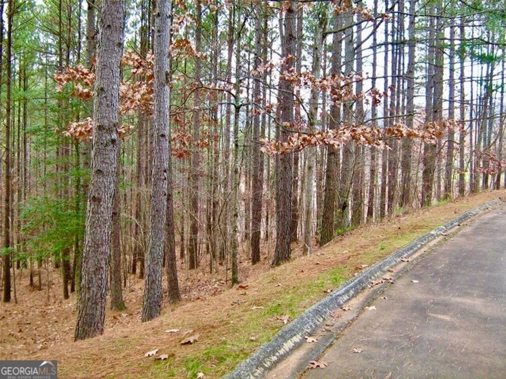 0 Golden Delicious Road, Clarkesville, GA 30523 — photo 5