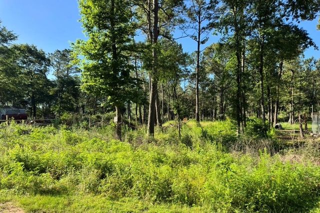 8020 Tawnyberry Lane, Plantersville, TX 77363