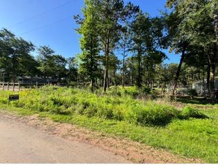 8020 Tawnyberry Lane, Plantersville, TX 77363