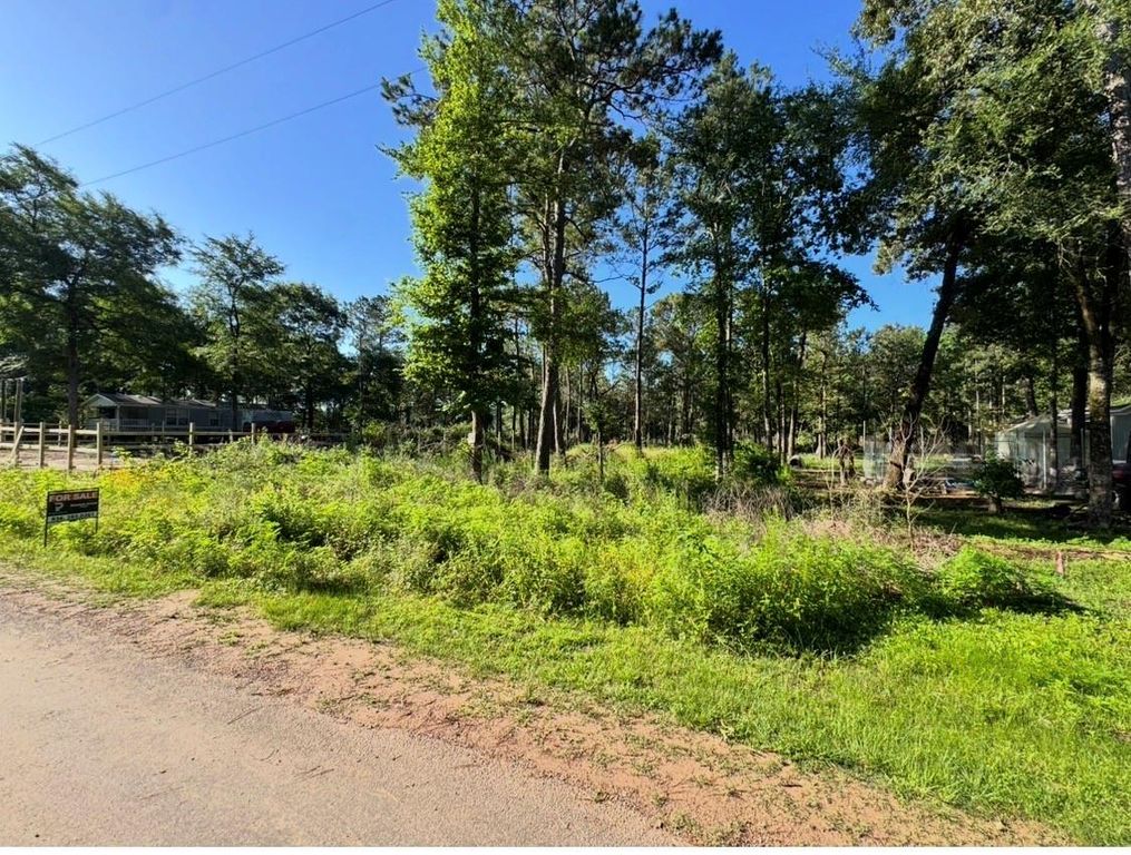 8020 Tawnyberry Lane, Plantersville, TX 77363
