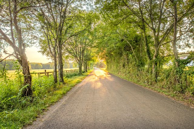 0 Hunter Bills Rd, Lewisburg, TN 37091