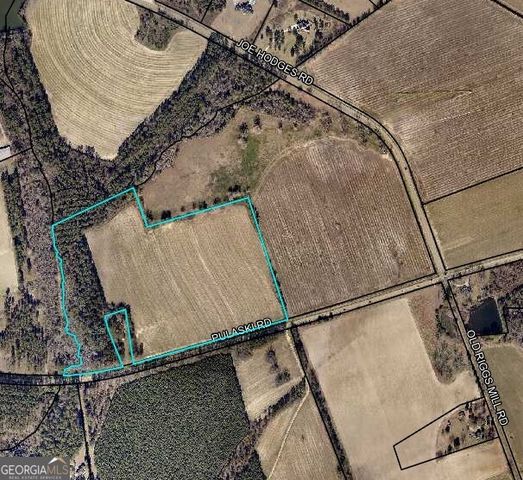 0 LOT 2 Pulaski Road, Statesboro, GA 30458