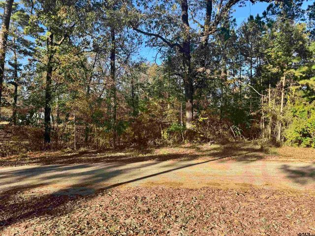 7560 Forest Hill, Frankston, TX 75763