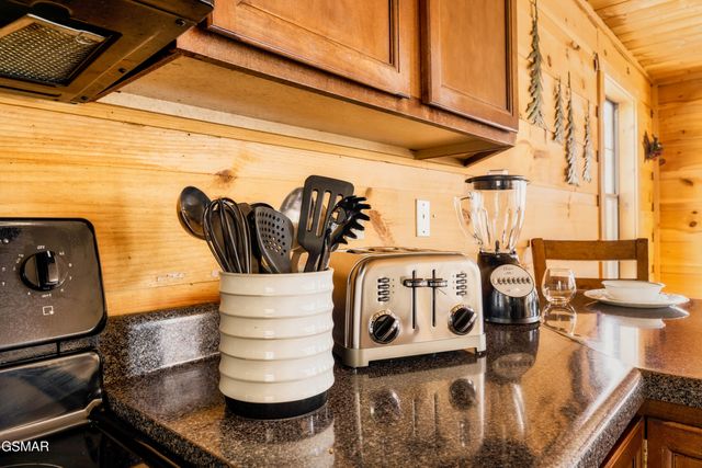 1167 Upper Alpine Way, Gatlinburg, TN 37738