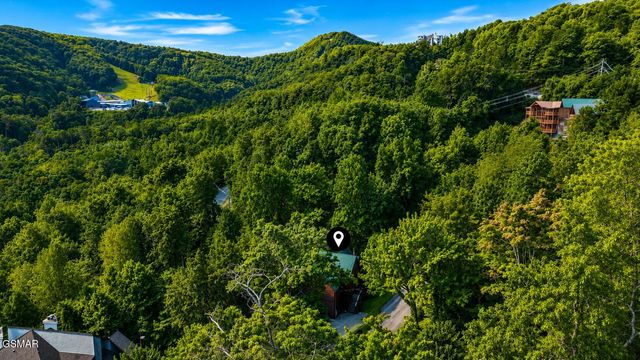 1167 Upper Alpine Way, Gatlinburg, TN 37738