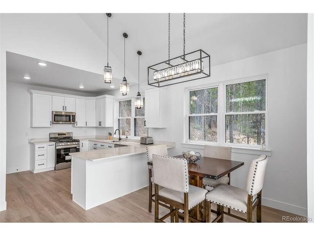 717 Alice Rd, Idaho Springs, CO 80452