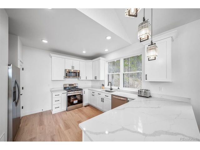 717 Alice Rd, Idaho Springs, CO 80452