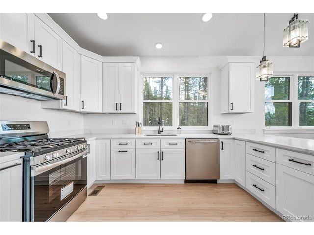 717 Alice Rd, Idaho Springs, CO 80452