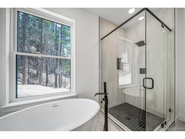 717 Alice Rd, Idaho Springs, CO 80452