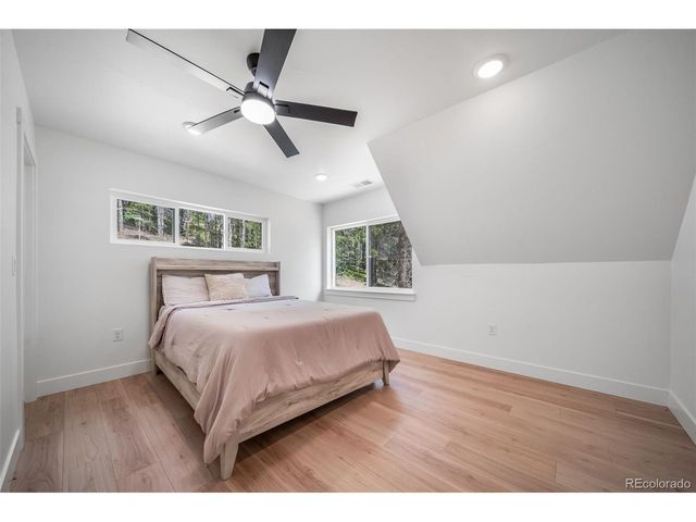 717 Alice Rd, Idaho Springs, CO 80452