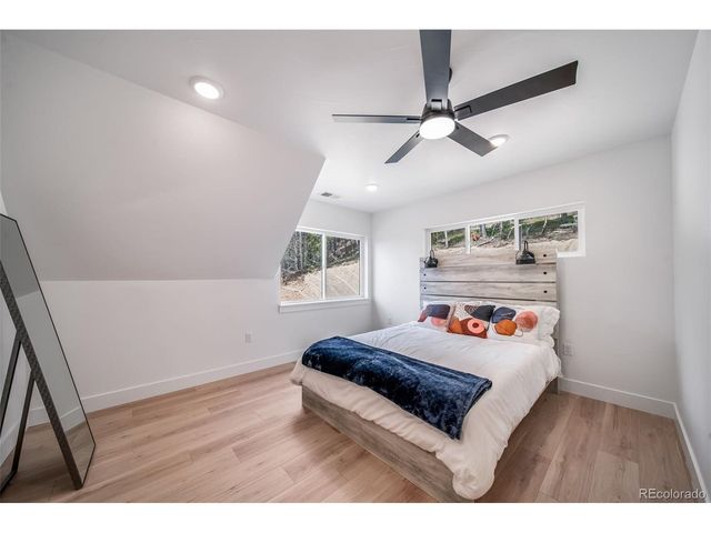 717 Alice Rd, Idaho Springs, CO 80452