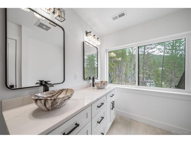 717 Alice Rd, Idaho Springs, CO 80452