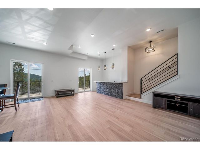 717 Alice Rd, Idaho Springs, CO 80452