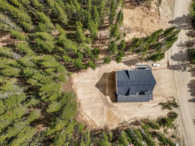 717 Alice Rd, Idaho Springs, CO 80452