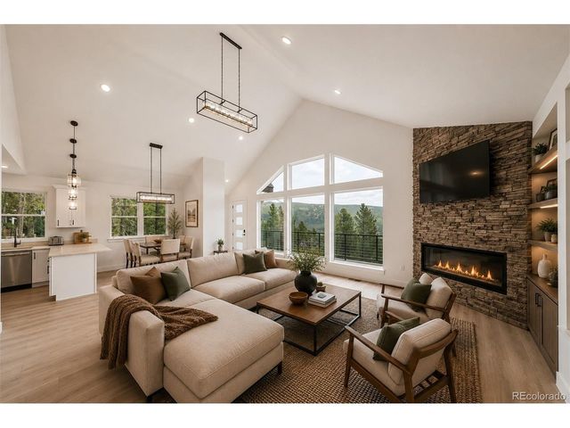 717 Alice Rd, Idaho Springs, CO 80452