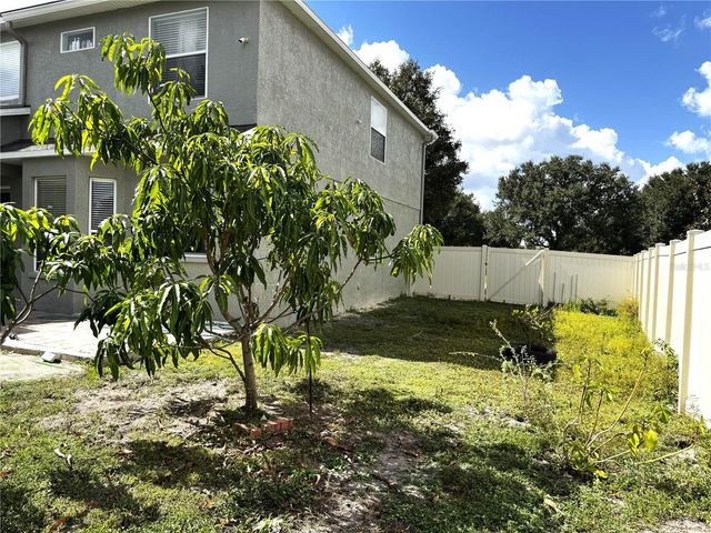 19017 SUNTERRA DRIVE, Land O Lakes, FL 34638