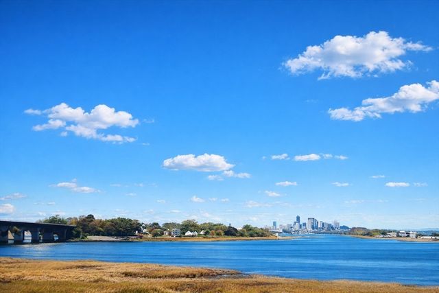 133 Commander Shea Blvd 502, Quincy, MA 02171