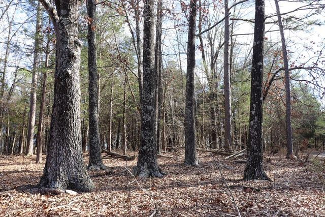 9238 Elizabeth Road, Viola, AR 72583