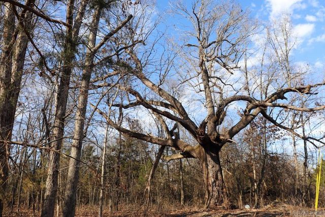 9238 Elizabeth Road, Viola, AR 72583