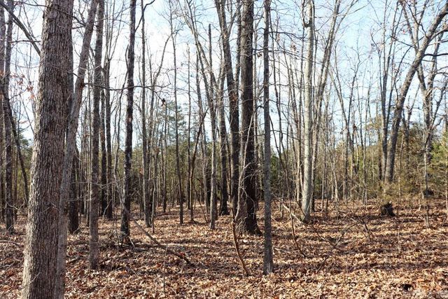 9238 Elizabeth Road, Viola, AR 72583