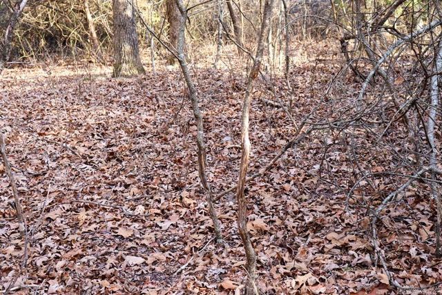 9238 Elizabeth Road, Viola, AR 72583