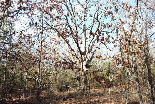 9238 Elizabeth Road, Viola, AR 72583