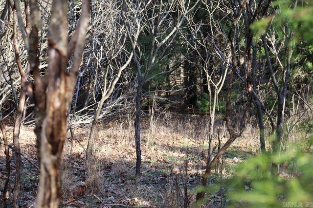 9238 Elizabeth Road, Viola, AR 72583