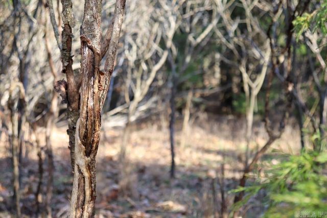 9238 Elizabeth Road, Viola, AR 72583