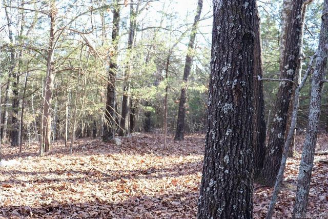 9238 Elizabeth Road, Viola, AR 72583