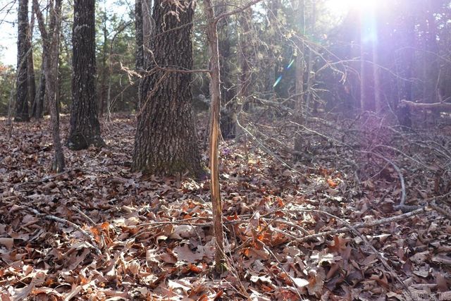 9238 Elizabeth Road, Viola, AR 72583