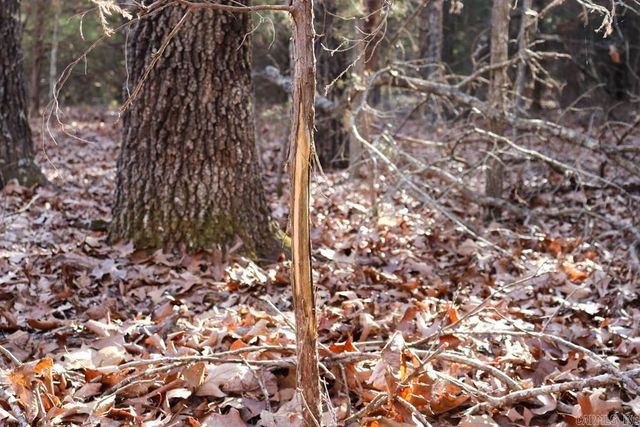 9238 Elizabeth Road, Viola, AR 72583