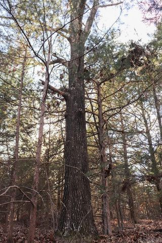 9238 Elizabeth Road, Viola, AR 72583