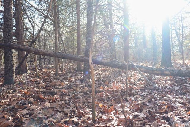 9238 Elizabeth Road, Viola, AR 72583