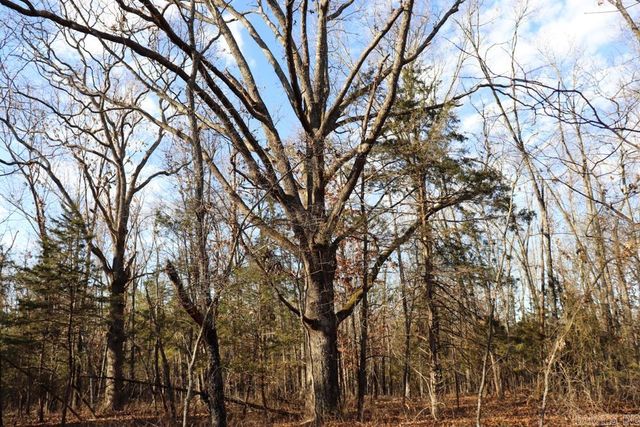 9238 Elizabeth Road, Viola, AR 72583