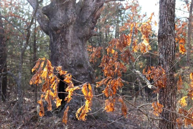 9238 Elizabeth Road, Viola, AR 72583