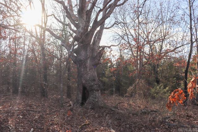 9238 Elizabeth Road, Viola, AR 72583